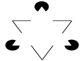 Triangolo di Kanizsa:  possibile vedere un triangolo bianco che in realt non esiste.